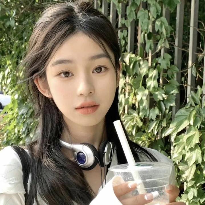 羊与钢之森